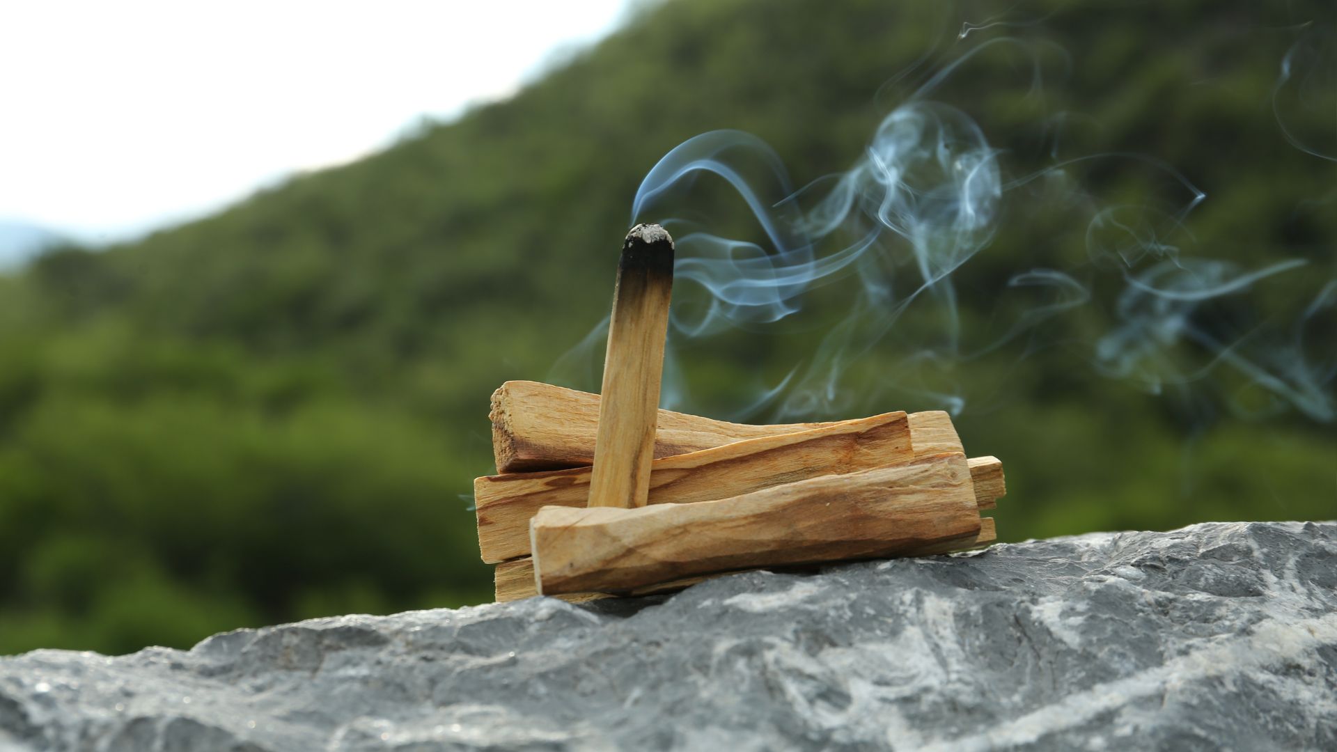 Palo Santo