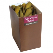 ECON 4 - ROOS GERANIUM ECO WIEROOKCONES