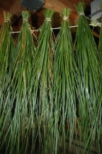 images/productimages/small/sweetgrass2.jpg