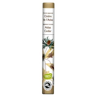PLANT WIEROOK CEDAR ATLAS (Herbosense)