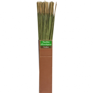 Incense ECO 02 Eucalyptus