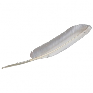 SWAN FEATHER